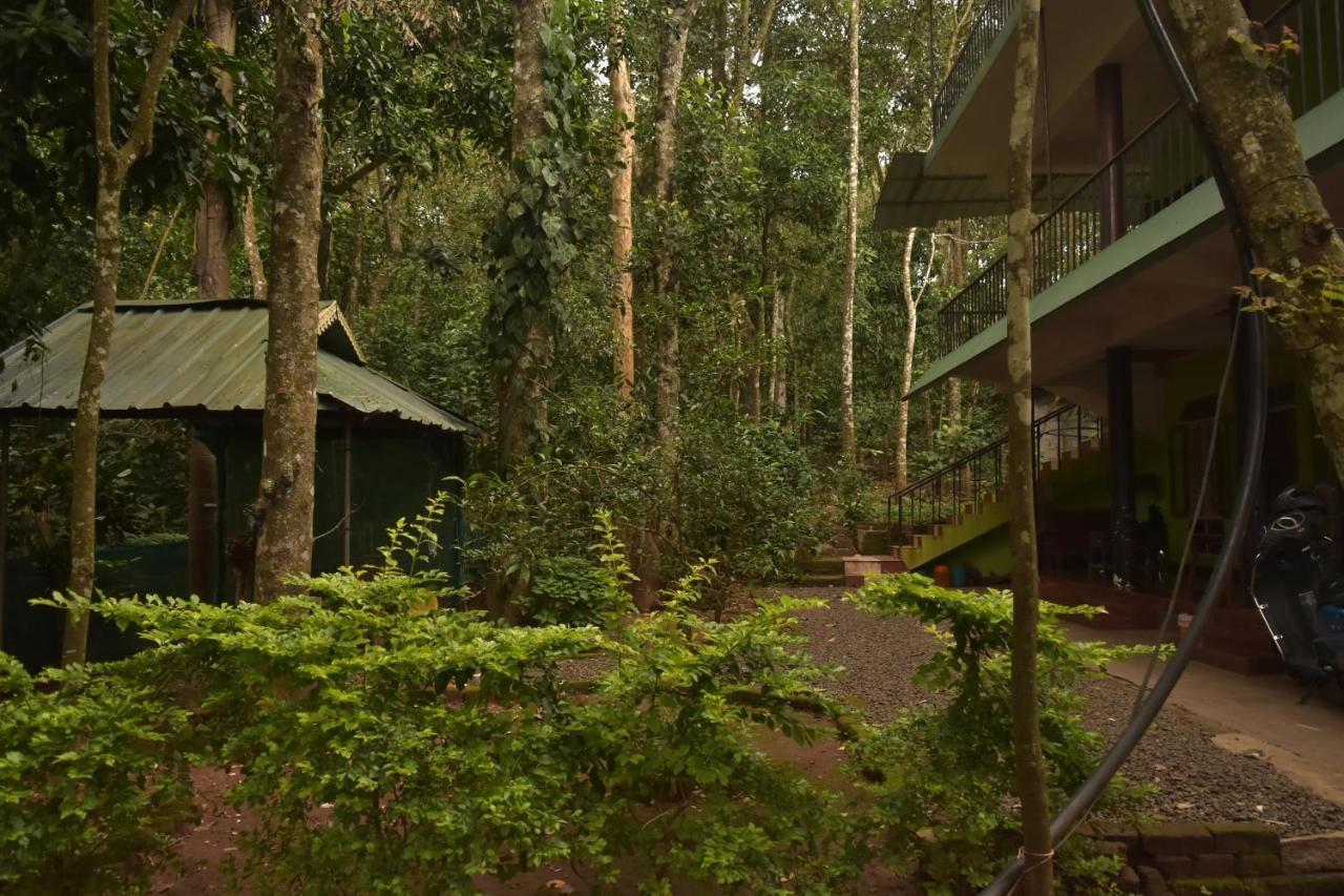 Jungleview Home Stay Idukki Exterior foto